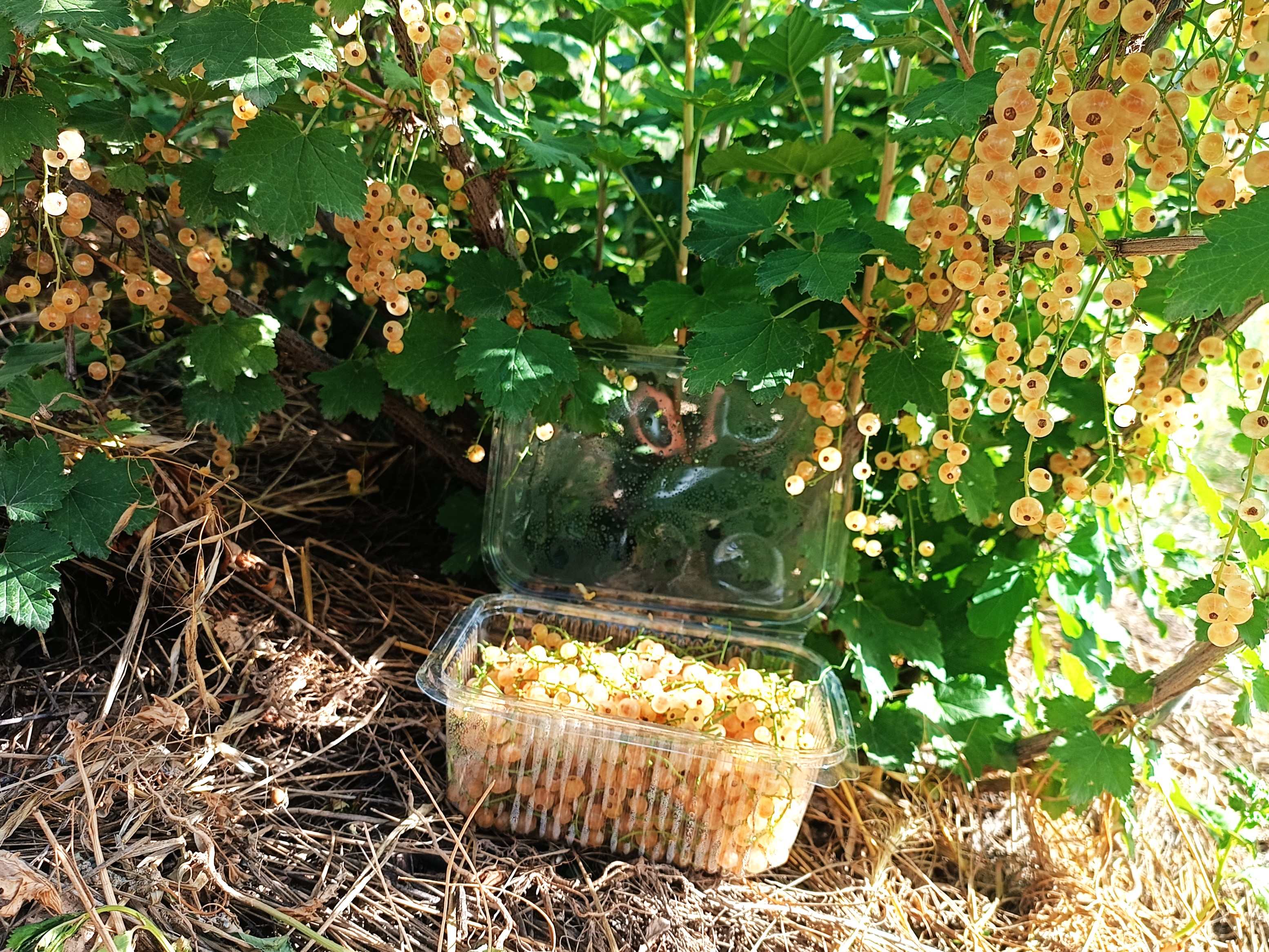 Зита-Җан-banner